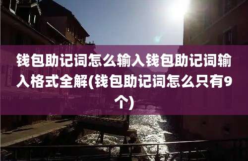 钱包助记词怎么输入钱包助记词输入格式全解(钱包助记词怎么只有9个)