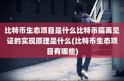 比特币生态项目是什么比特币隔离见证的实现原理是什么(比特币生态项目有哪些)