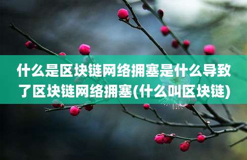 什么是区块链网络拥塞是什么导致了区块链网络拥塞(什么叫区块链)