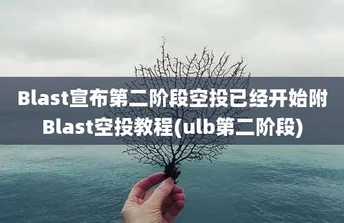 Blast宣布第二阶段空投已经开始附Blast空投教程(ulb第二阶段)