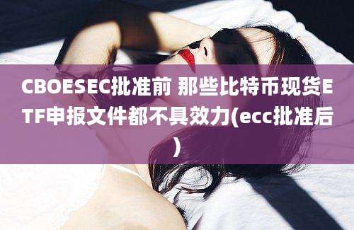 CBOESEC批准前 那些比特币现货ETF申报文件都不具效力(ecc批准后)