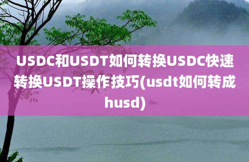 USDC和USDT如何转换USDC快速转换USDT操作技巧(usdt如何转成husd)