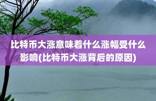 比特币大涨意味着什么涨幅受什么影响(比特币大涨背后的原因)