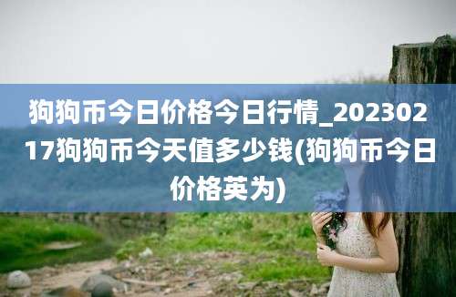 狗狗币今日价格今日行情_20230217狗狗币今天值多少钱(狗狗币今日价格英为)