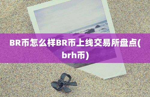 BR币怎么样BR币上线交易所盘点(brh币)