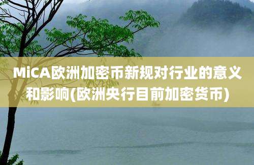 MiCA欧洲加密币新规对行业的意义和影响(欧洲央行目前加密货币)