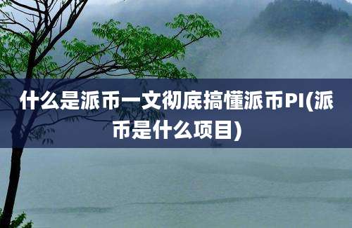 什么是派币一文彻底搞懂派币PI(派币是什么项目)