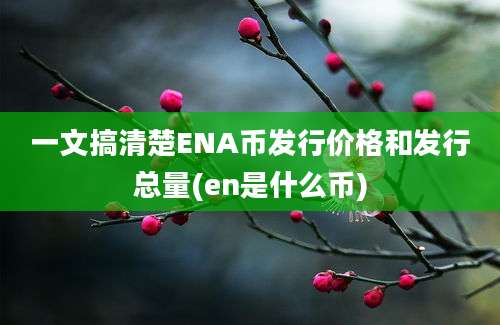 一文搞清楚ENA币发行价格和发行总量(en是什么币)