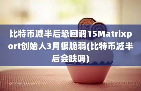 比特币减半后恐回调15Matrixport创始人3月很脆弱(比特币减半后会跌吗)