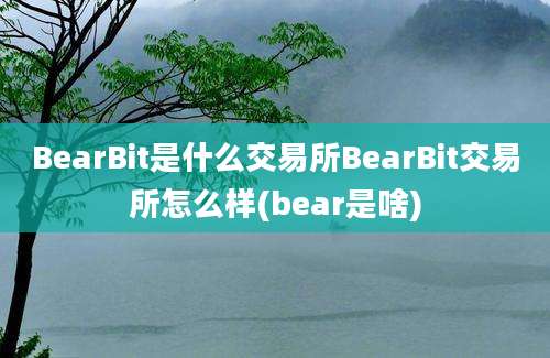 BearBit是什么交易所BearBit交易所怎么样(bear是啥)