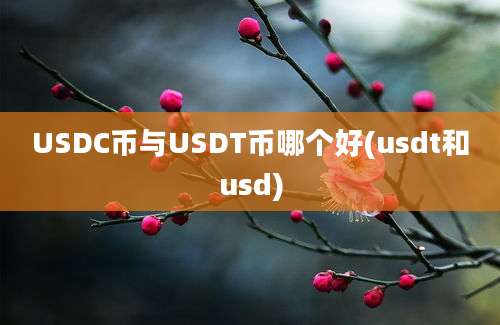 USDC币与USDT币哪个好(usdt和usd)