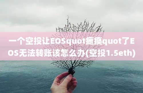 一个空投让EOSquot瘫痪quot了EOS无法转账该怎么办(空投1.5eth)