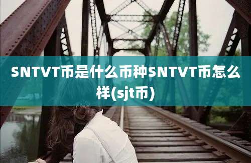 SNTVT币是什么币种SNTVT币怎么样(sjt币)