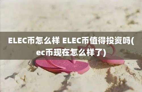 ELEC币怎么样 ELEC币值得投资吗(ec币现在怎么样了)