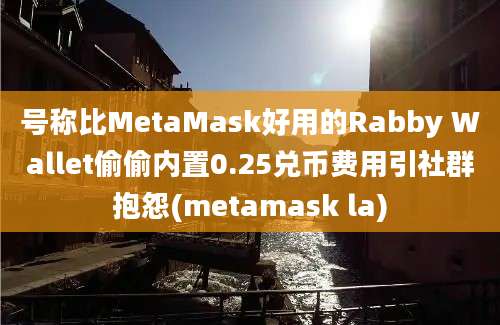 号称比MetaMask好用的Rabby Wallet偷偷内置0.25兑币费用引社群抱怨(metamask la)