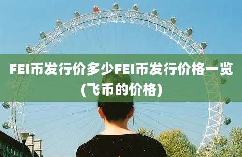 FEI币发行价多少FEI币发行价格一览(飞币的价格)