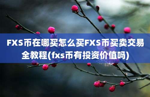 FXS币在哪买怎么买FXS币买卖交易全教程(fxs币有投资价值吗)