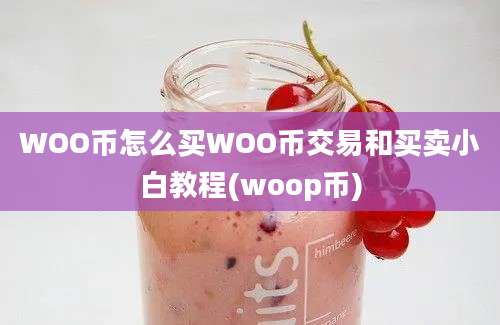 WOO币怎么买WOO币交易和买卖小白教程(woop币)