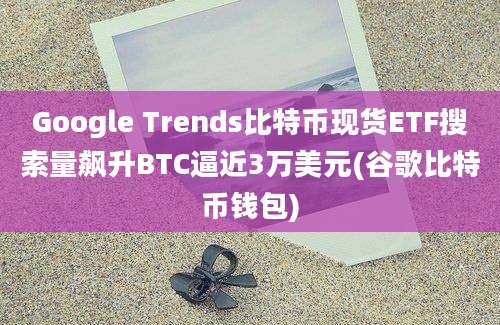 Google Trends比特币现货ETF搜索量飙升BTC逼近3万美元(谷歌比特币钱包)