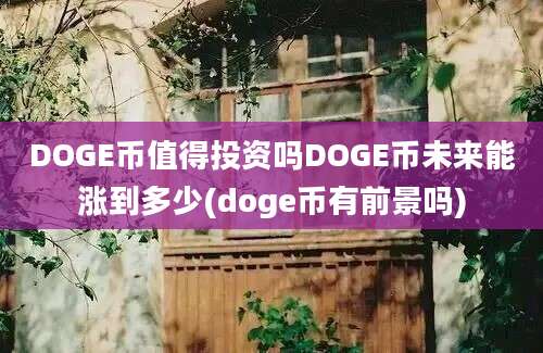 DOGE币值得投资吗DOGE币未来能涨到多少(doge币有前景吗)