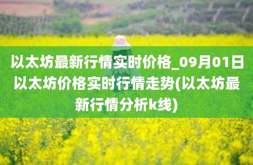 以太坊最新行情实时价格_09月01日以太坊价格实时行情走势(以太坊最新行情分析k线)