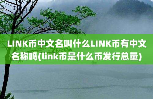 LINK币中文名叫什么LINK币有中文名称吗(link币是什么币发行总量)