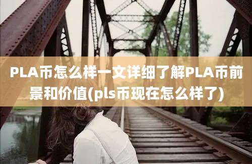 PLA币怎么样一文详细了解PLA币前景和价值(pls币现在怎么样了)