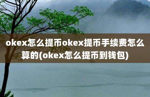 okex怎么提币okex提币手续费怎么算的(okex怎么提币到钱包)