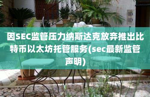 因SEC监管压力纳斯达克放弃推出比特币以太坊托管服务(sec最新监管声明)