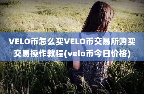 VELO币怎么买VELO币交易所购买交易操作教程(velo币今日价格)