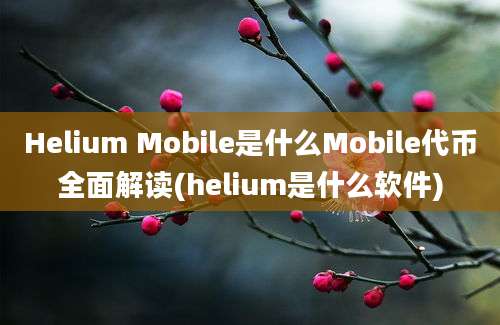 Helium Mobile是什么Mobile代币全面解读(helium是什么软件)