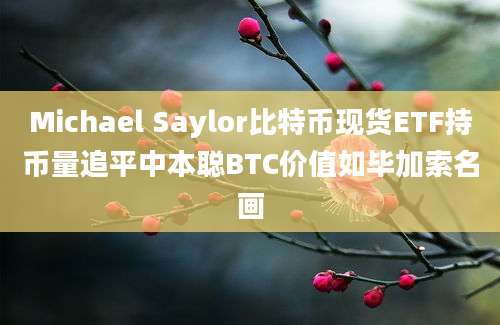 Michael Saylor比特币现货ETF持币量追平中本聪BTC价值如毕加索名画