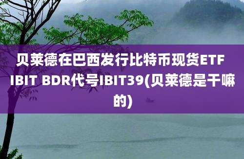 贝莱德在巴西发行比特币现货ETF IBIT BDR代号IBIT39(贝莱德是干嘛的)