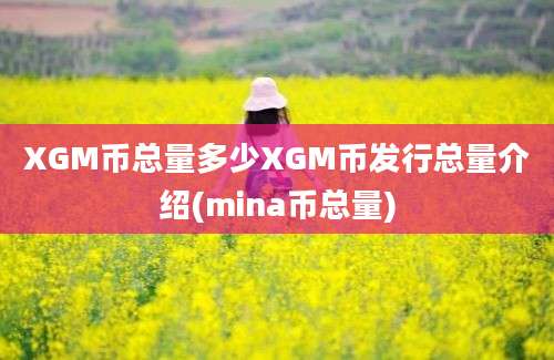 XGM币总量多少XGM币发行总量介绍(mina币总量)