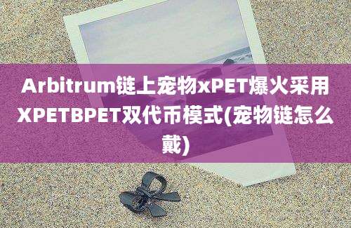 Arbitrum链上宠物xPET爆火采用XPETBPET双代币模式(宠物链怎么戴)