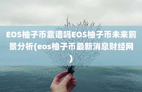 EOS柚子币靠谱吗EOS柚子币未来前景分析(eos柚子币最新消息财经网)