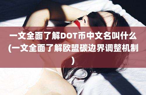 一文全面了解DOT币中文名叫什么(一文全面了解欧盟碳边界调整机制)