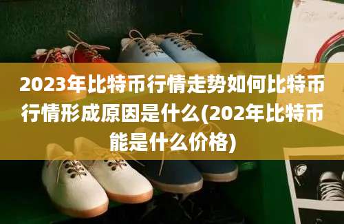 2023年比特币行情走势如何比特币行情形成原因是什么(202年比特币能是什么价格)