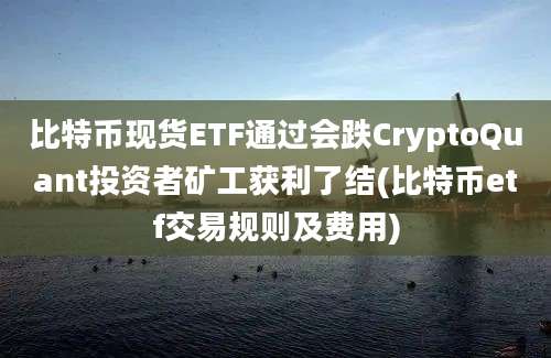 比特币现货ETF通过会跌CryptoQuant投资者矿工获利了结(比特币etf交易规则及费用)