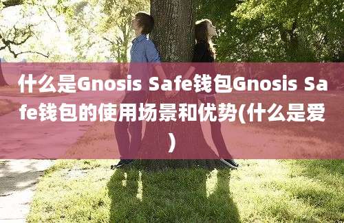 什么是Gnosis Safe钱包Gnosis Safe钱包的使用场景和优势(什么是爱)