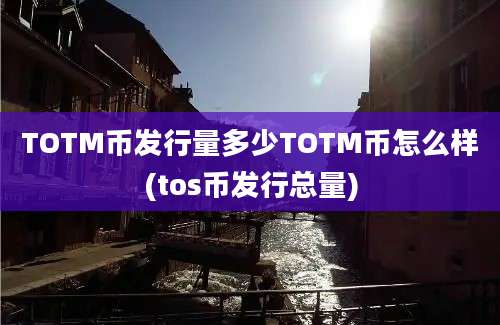 TOTM币发行量多少TOTM币怎么样(tos币发行总量)