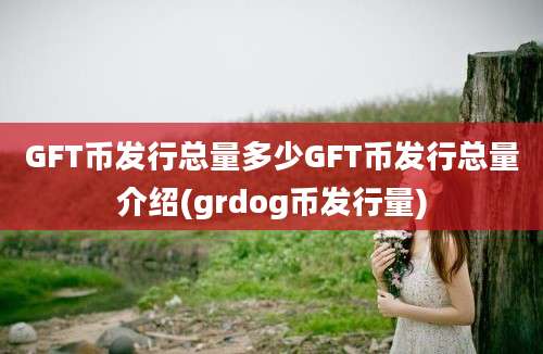 GFT币发行总量多少GFT币发行总量介绍(grdog币发行量)