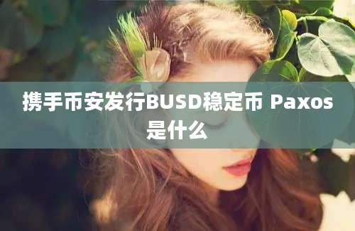 携手币安发行BUSD稳定币 Paxos是什么