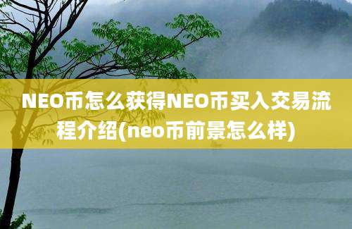 NEO币怎么获得NEO币买入交易流程介绍(neo币前景怎么样)