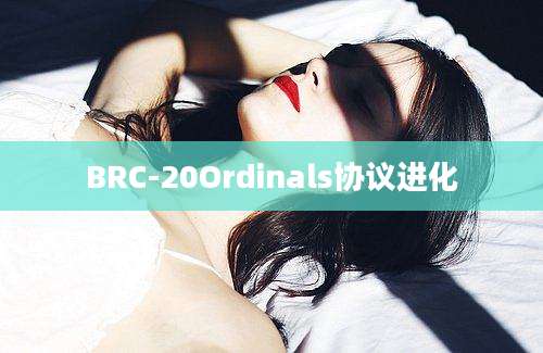 BRC-20Ordinals协议进化