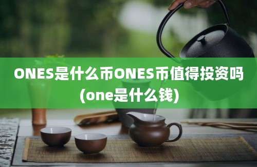 ONES是什么币ONES币值得投资吗(one是什么钱)