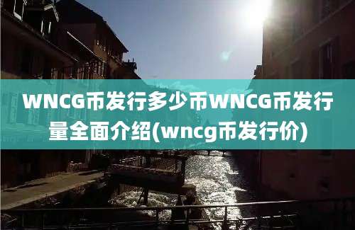 WNCG币发行多少币WNCG币发行量全面介绍(wncg币发行价)