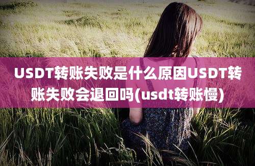 USDT转账失败是什么原因USDT转账失败会退回吗(usdt转账慢)