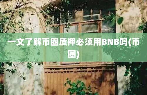 一文了解币圈质押必须用BNB吗(币圈)