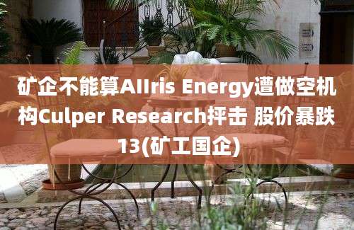 矿企不能算AIIris Energy遭做空机构Culper Research抨击 股价暴跌13(矿工国企)